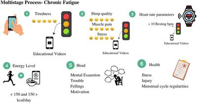 Preventing chronic fatigue in Czech young athletes: The features description of the “SmartTraining” mobile application